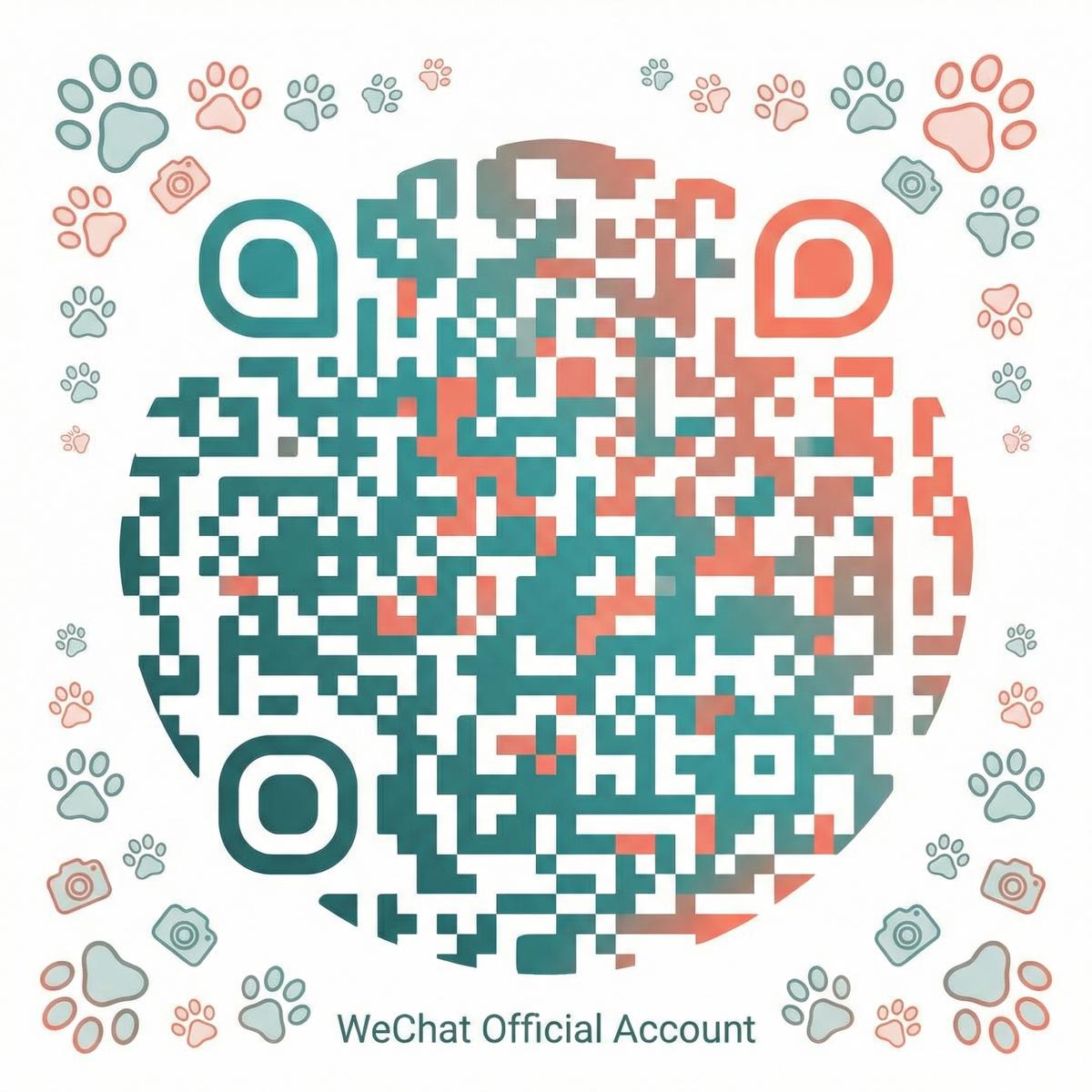 玩物社区公众号二维码